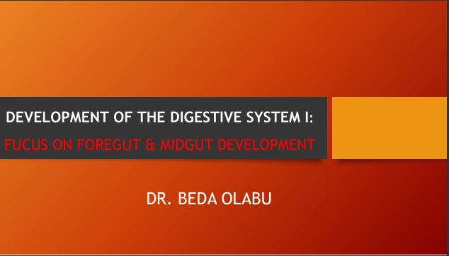 No preview available